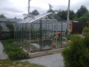 Стеклянная теплица АСГ 2,92 м 16 кв м