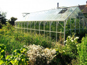 Теплица со стеклом Удача-11 3x7,2 м