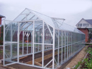 Теплица со стеклом Удача-12 4x8 м